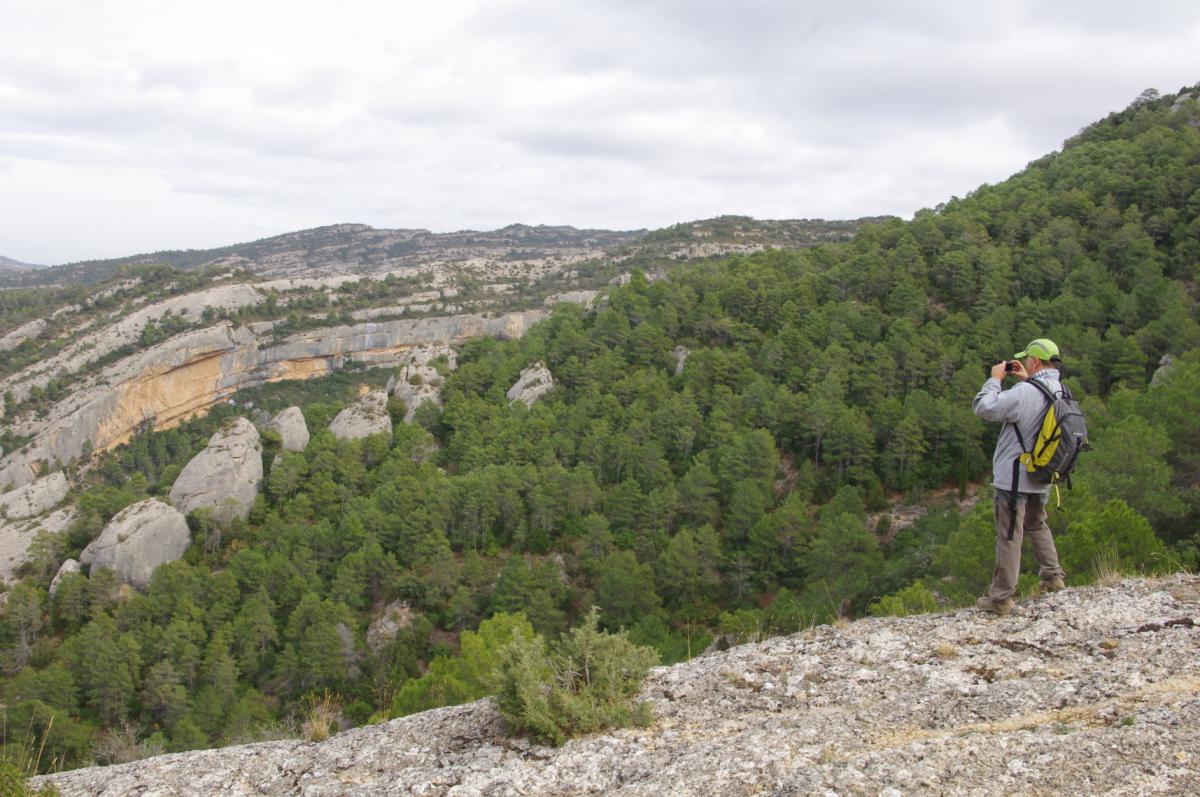 19mars_montsant-de-navas.jpg 19mars_montsant-de-navas.jpg