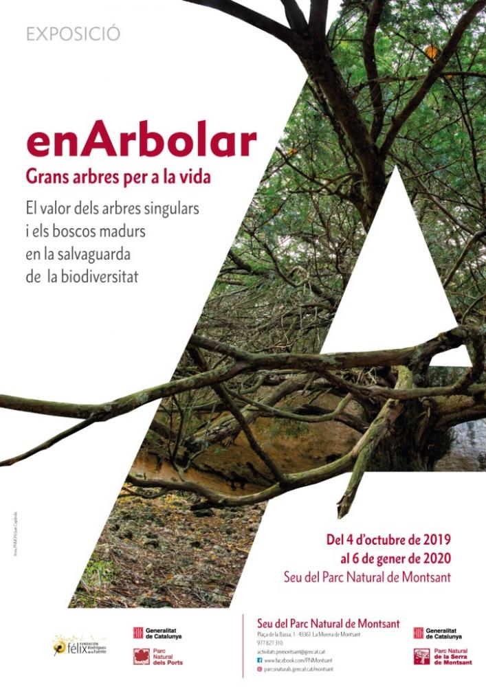 arbres-monumentals_web.jpg arbres-monumentals_web.jpg