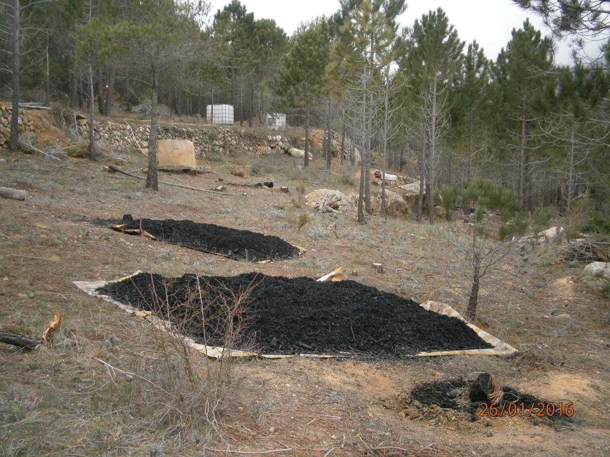 biochar.jpg biochar.jpg
