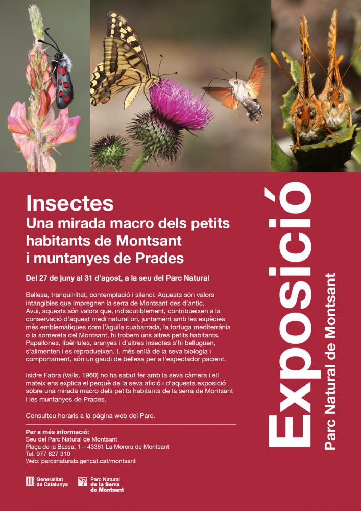 cartell_-_expo_insectes.jpg cartell_-_expo_insectes.jpg