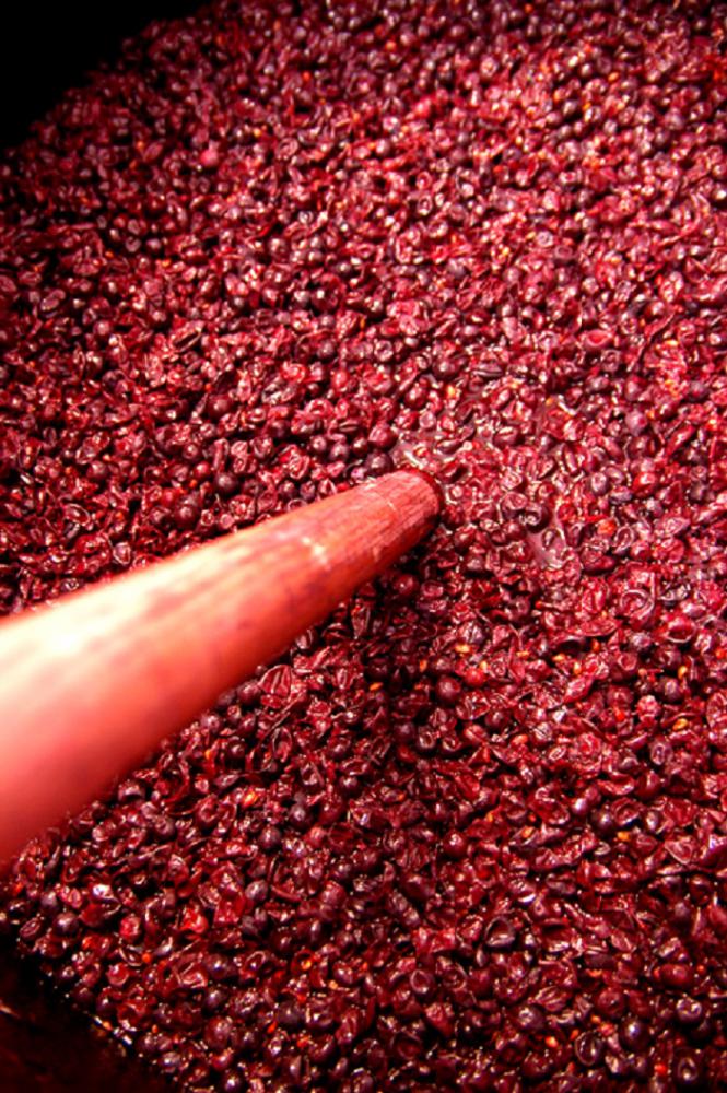 celler_3.jpg celler_3.jpg