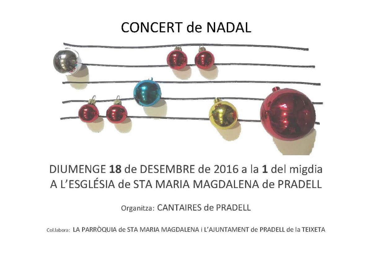 concertnadal2016.jpg