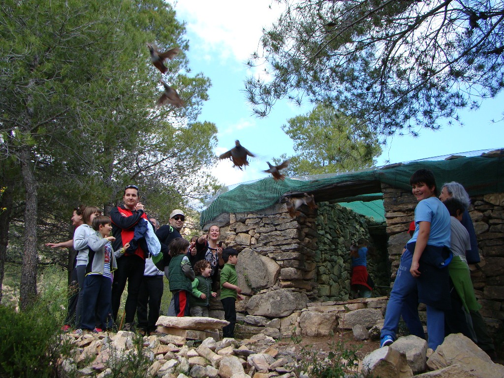 copia_de_dsc04186.jpg copia_de_dsc04186.jpg