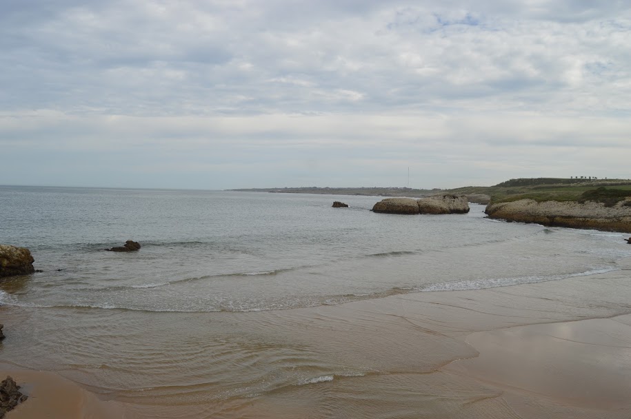 dsc_0230.jpg dsc_0230.jpg