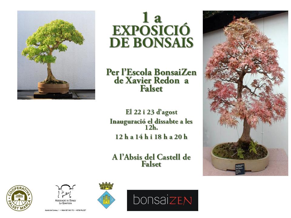 exposicio_bonsais.jpg
