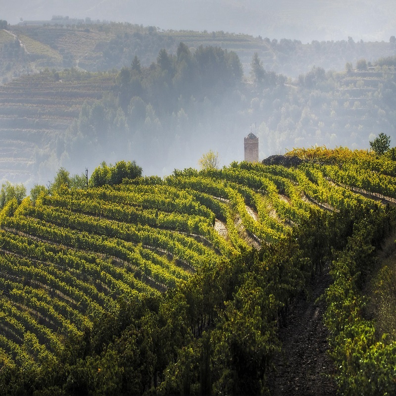 fot_300_torres_priorat_retocat.jpg fot_300_torres_priorat_retocat.jpg
