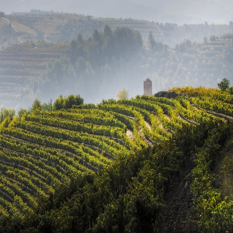 fot_300_torres_priorat_retocat.jpg