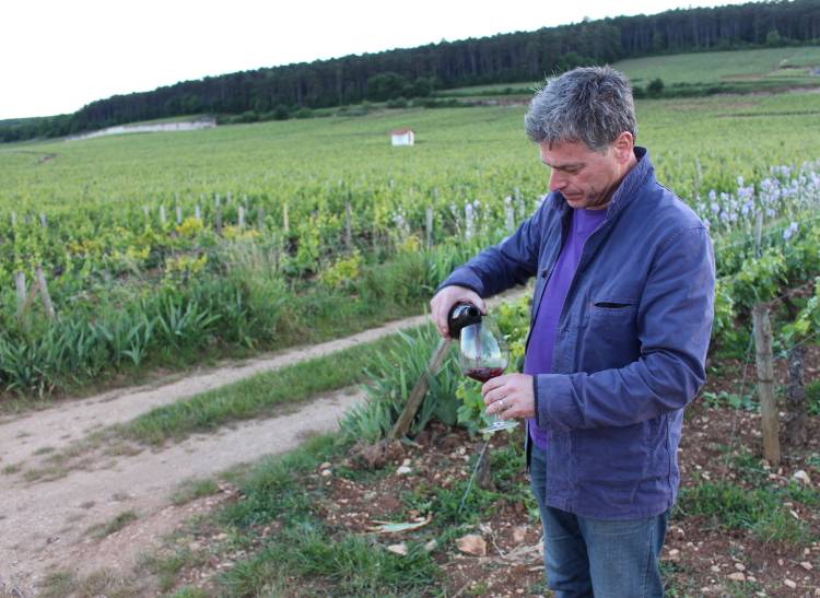 grand-cru-vinyes-most2018.jpg grand-cru-vinyes-most2018.jpg