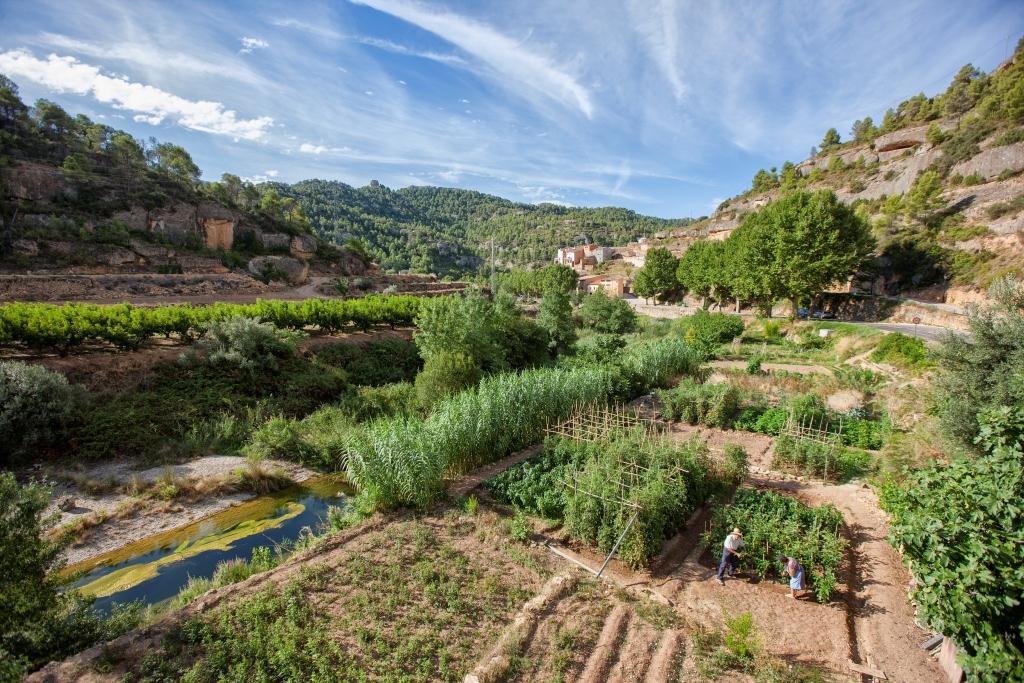 horta_joan_capdevila_-_img_0171.jpg horta_joan_capdevila_-_img_0171.jpg