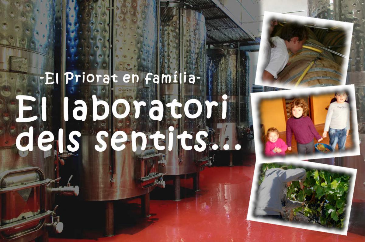 laboratori_sentits_ok.jpg laboratori_sentits_ok.jpg
