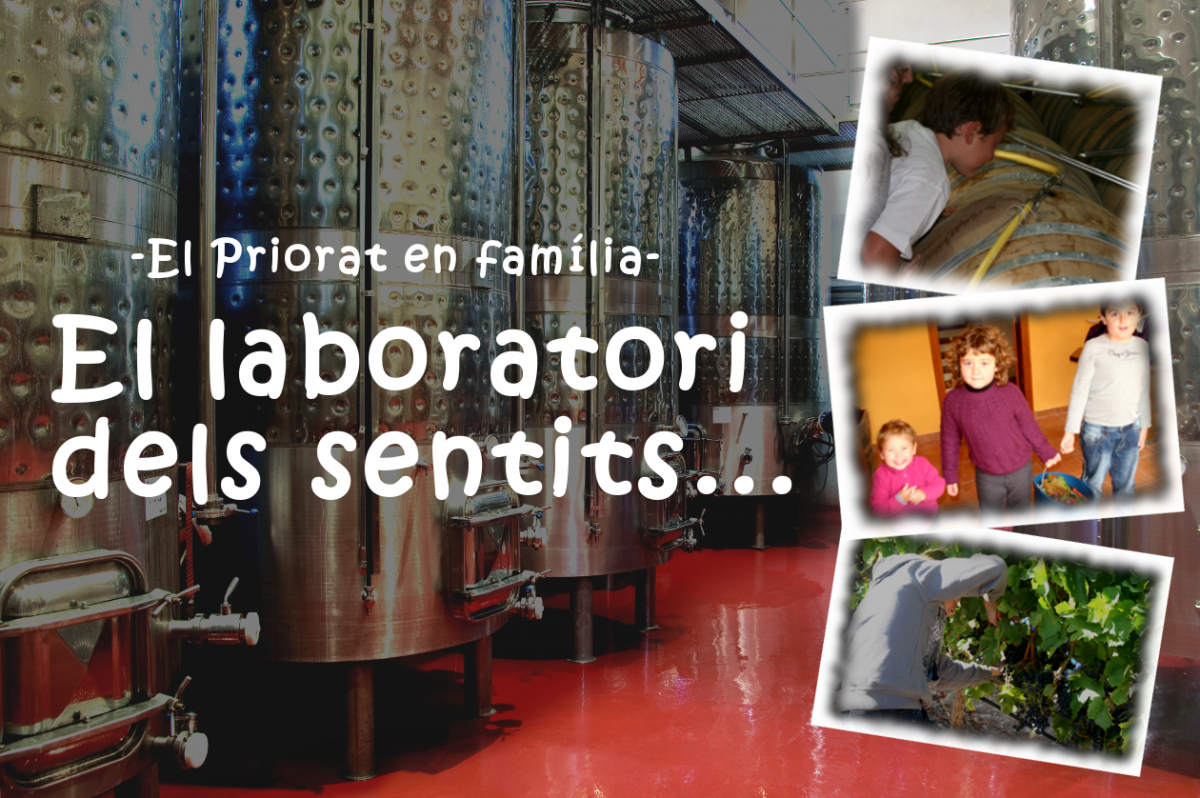 laboratori_sentits_ok.png laboratori_sentits_ok.png