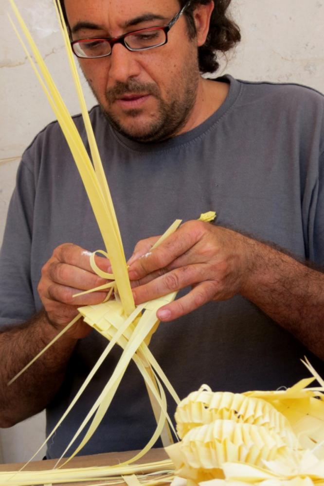 palmes_-_copia.jpg palmes_-_copia.jpg