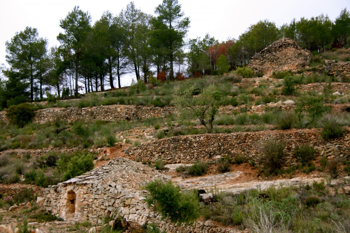 pedra_a_pedra.jpg pedra_a_pedra.jpg