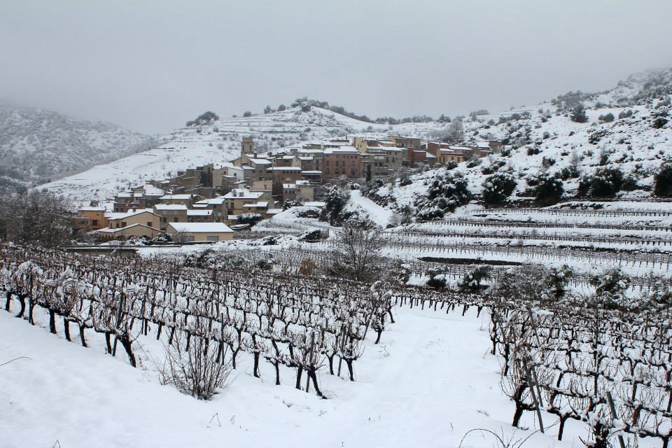 porrera_amb_neu.jpg porrera_amb_neu.jpg
