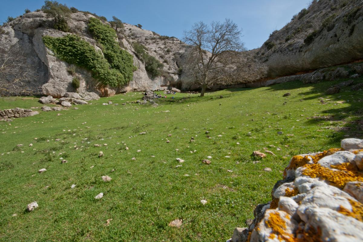sentir_la_natura.jpg sentir_la_natura.jpg