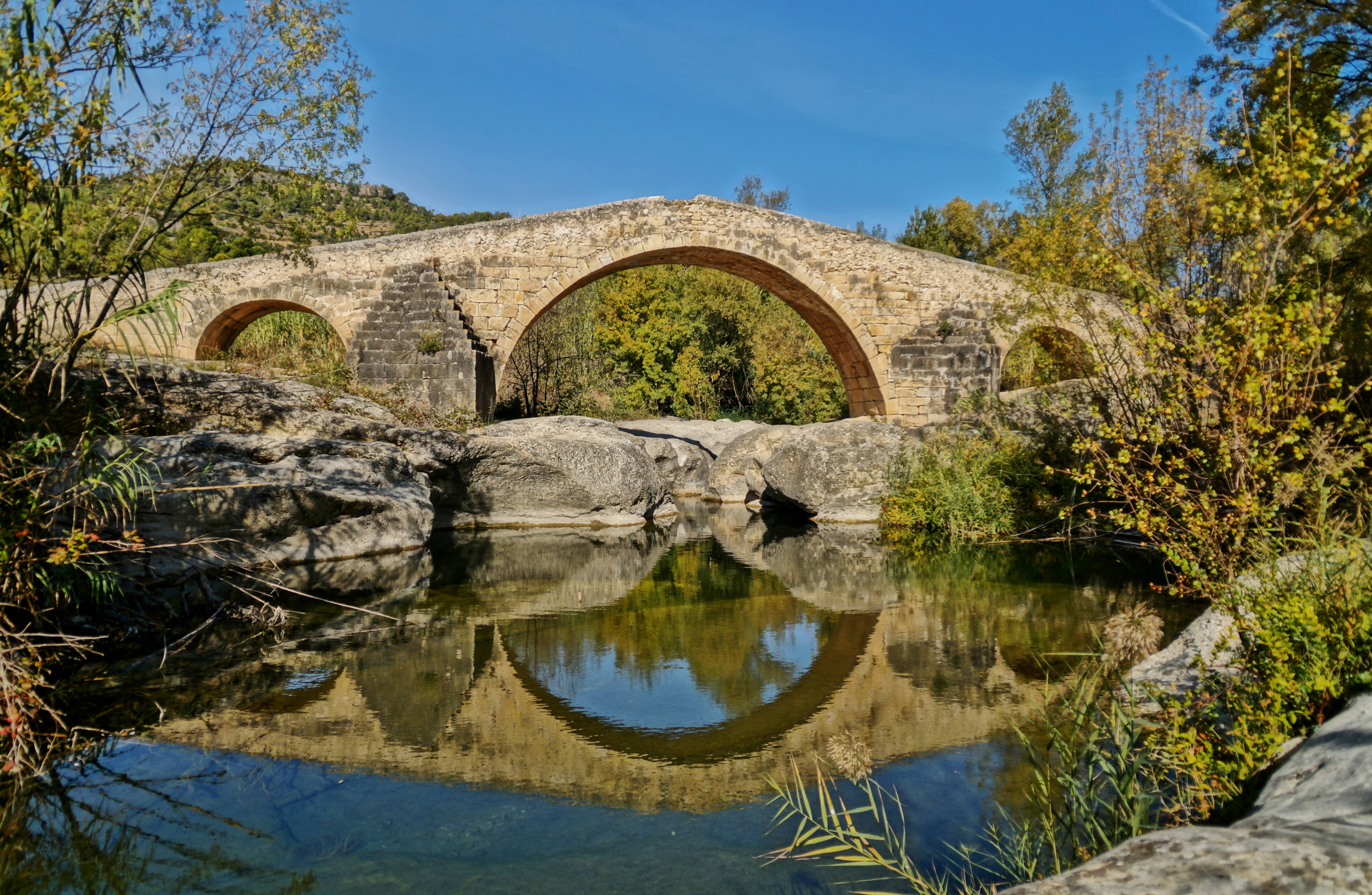 Excursió botànica al Pont Vell de Cabacés 