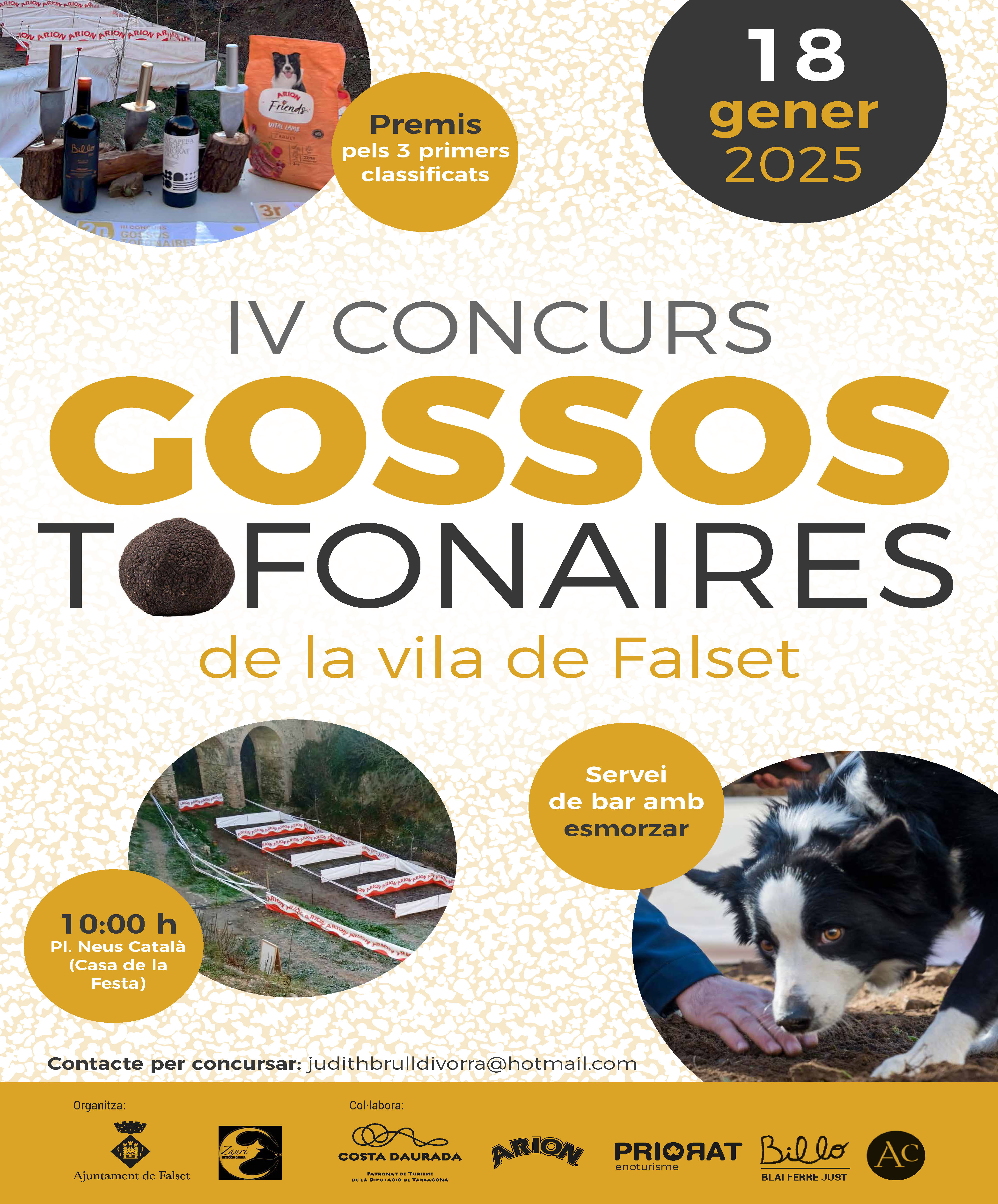 IV CONCURS GOSSOS TOFONAIRES de la Vila de Falset