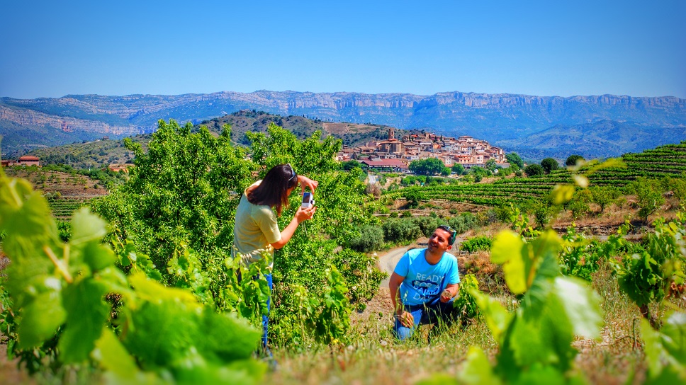 GREEN-PRUNING VINES AND EATING PAELLA IN PRIORAT