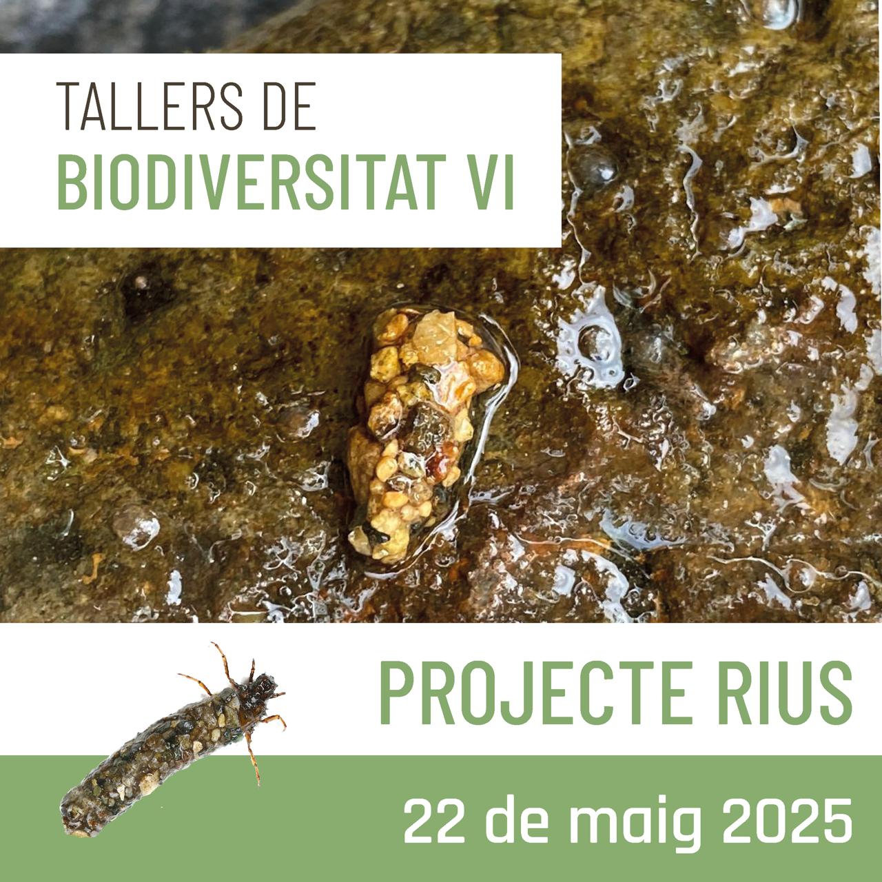 Taller de biodiversitat: Projecte Rius Taller de biodiversitat: Projecte Rius