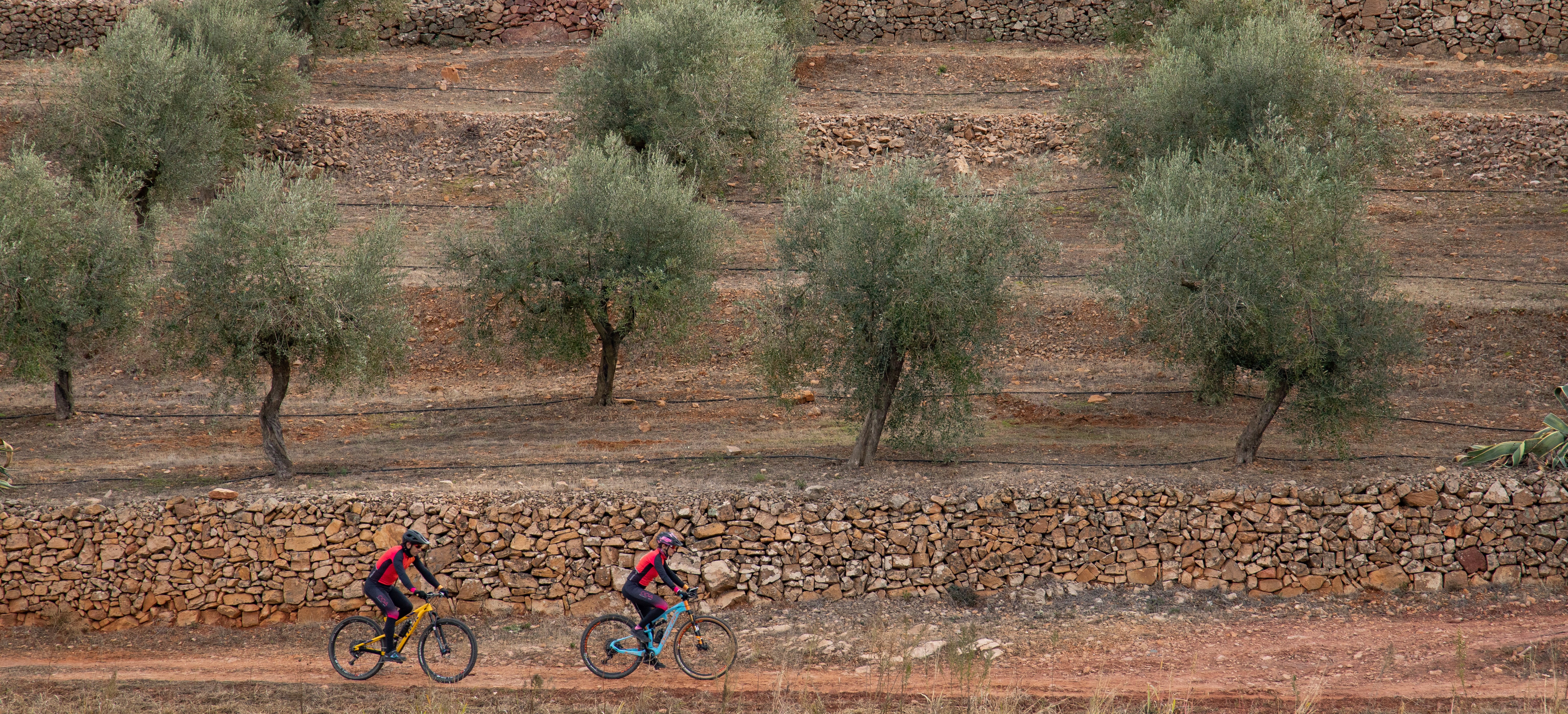 Origen: descobrir Priorat Origen: descobrir Priorat