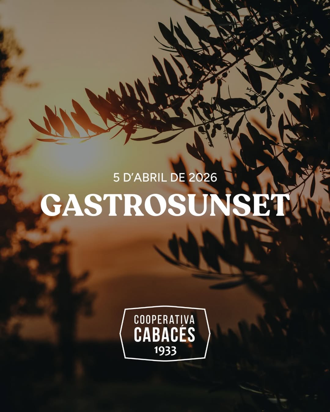 GASTROSUNSET Tardeig a la Terrassa