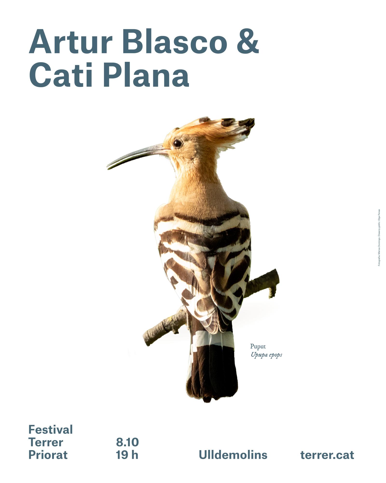 cartell blasco plana