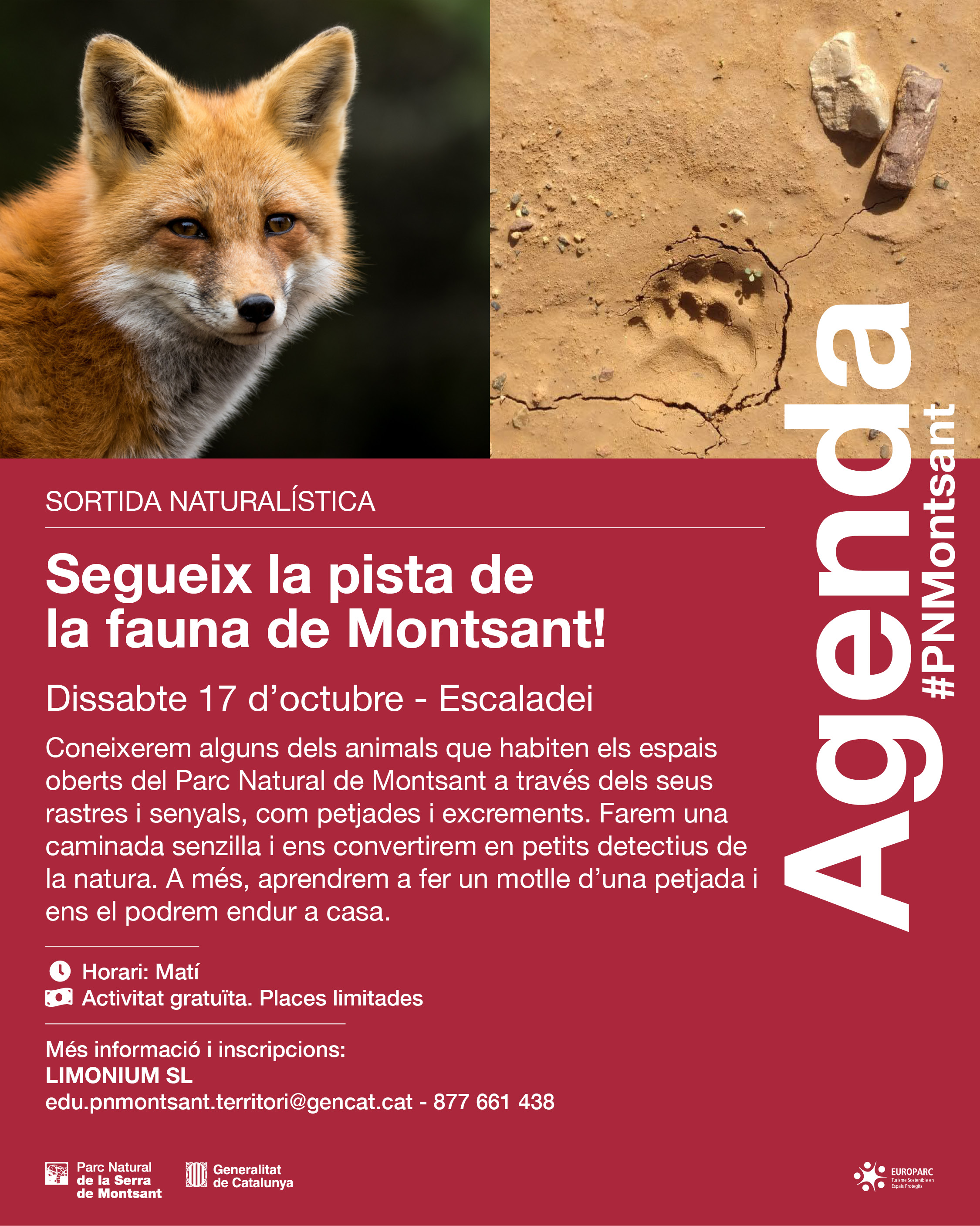 Segueix la pista de la fauna de Montsant!