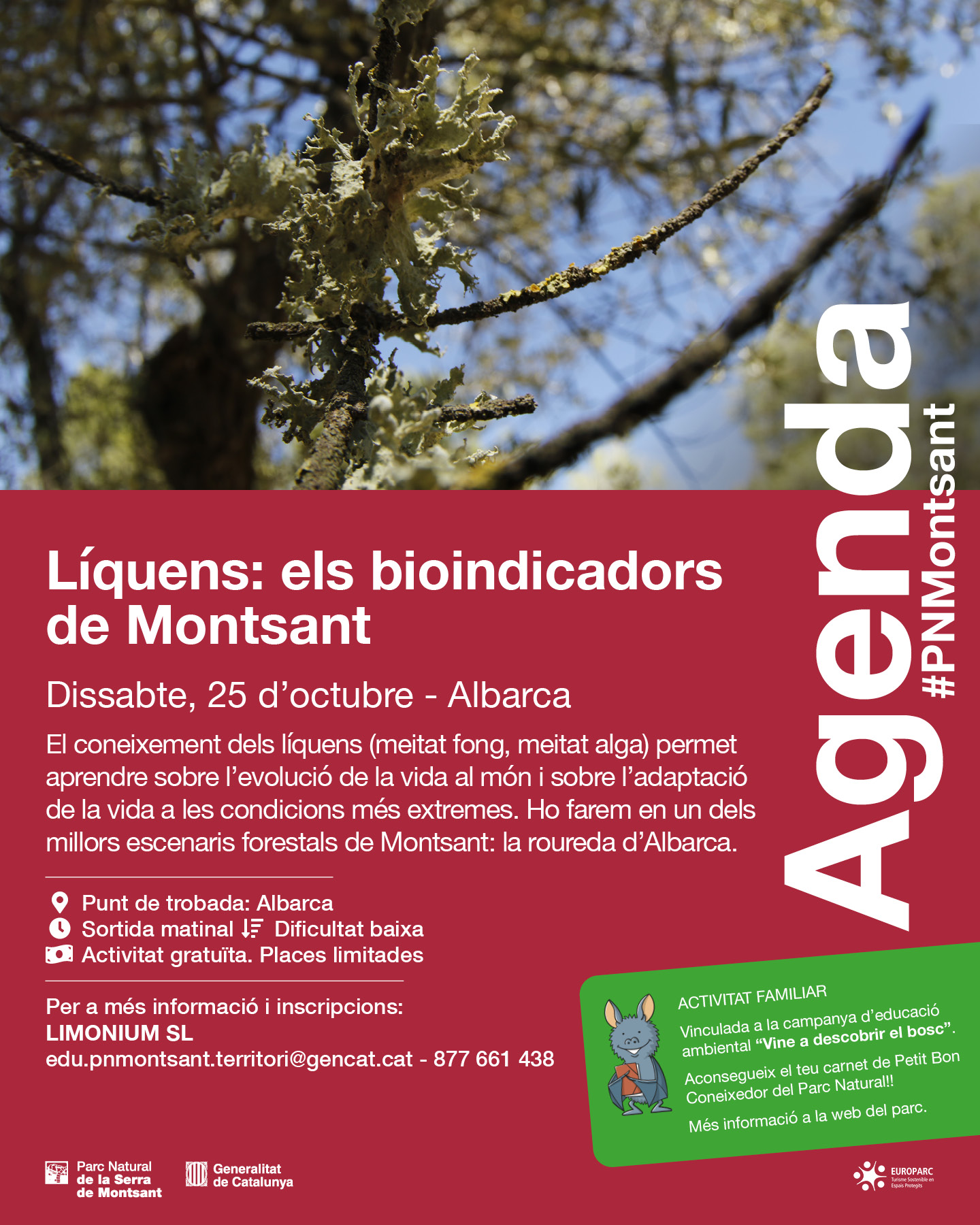 Líquens: els bioindicadors de Montsant