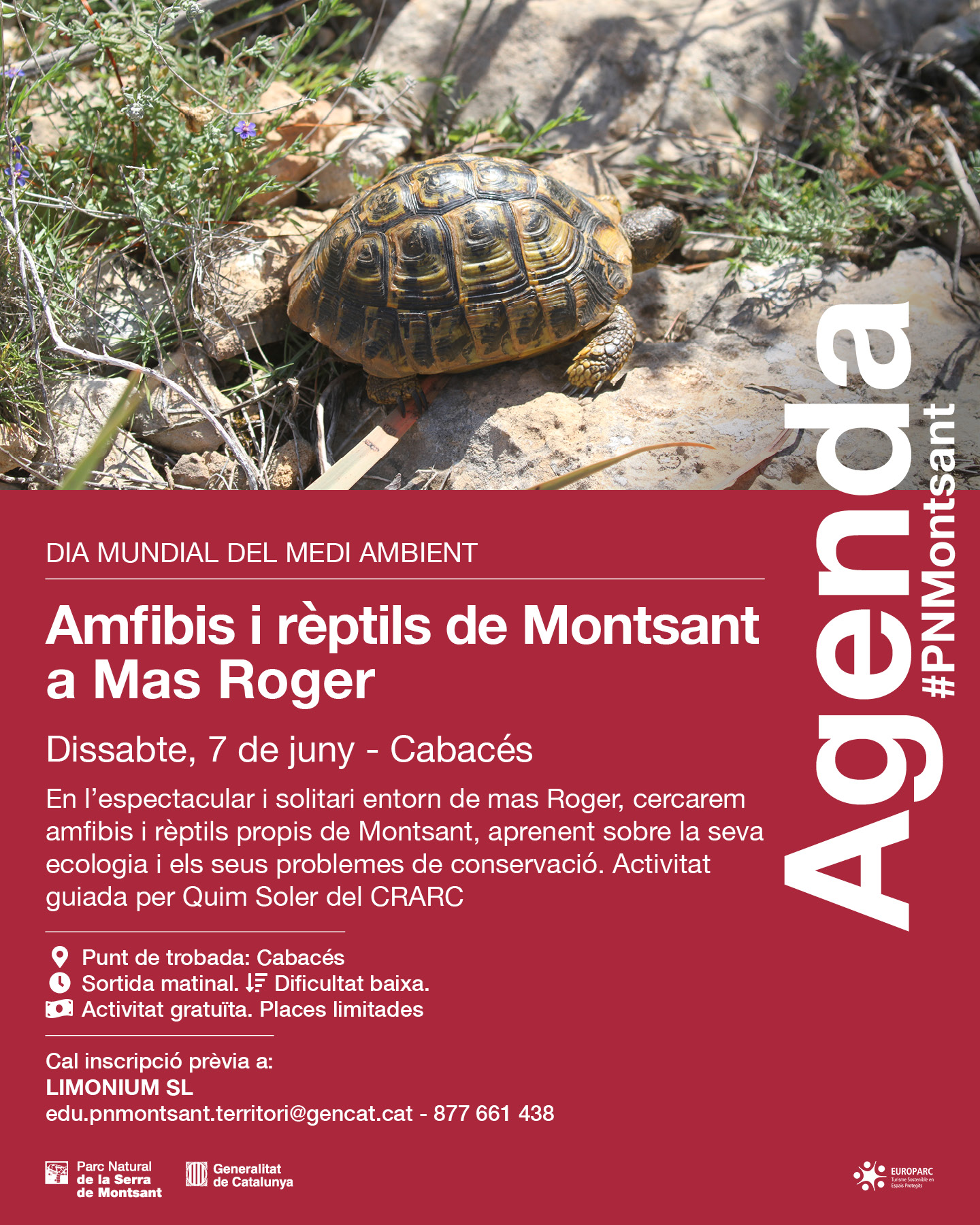 Amfibis i rèptils de Montsant a Mas Roger Amfibis i rèptils de Montsant a Mas Roger