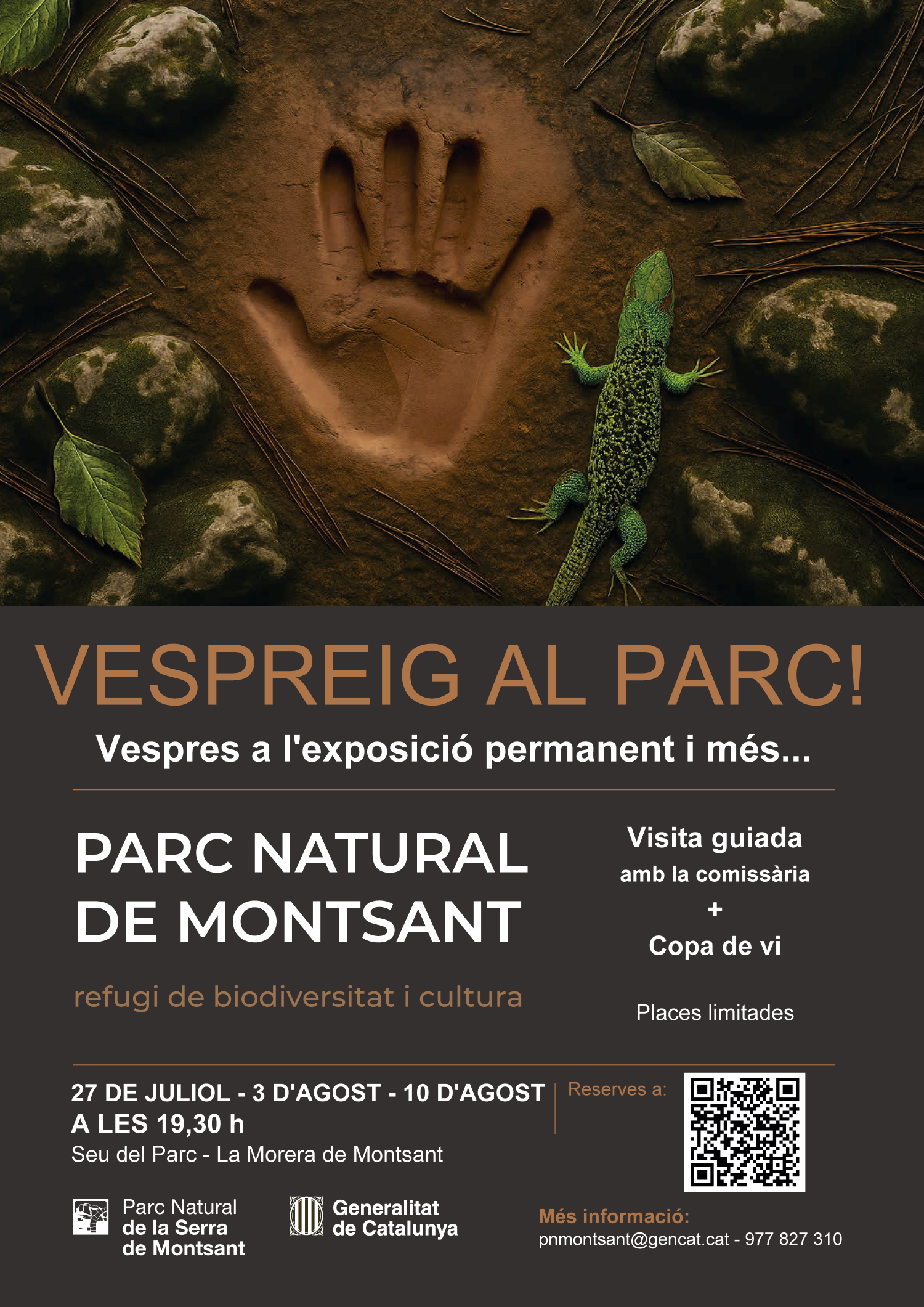 Vespres d'estiu a l'exposició permanent