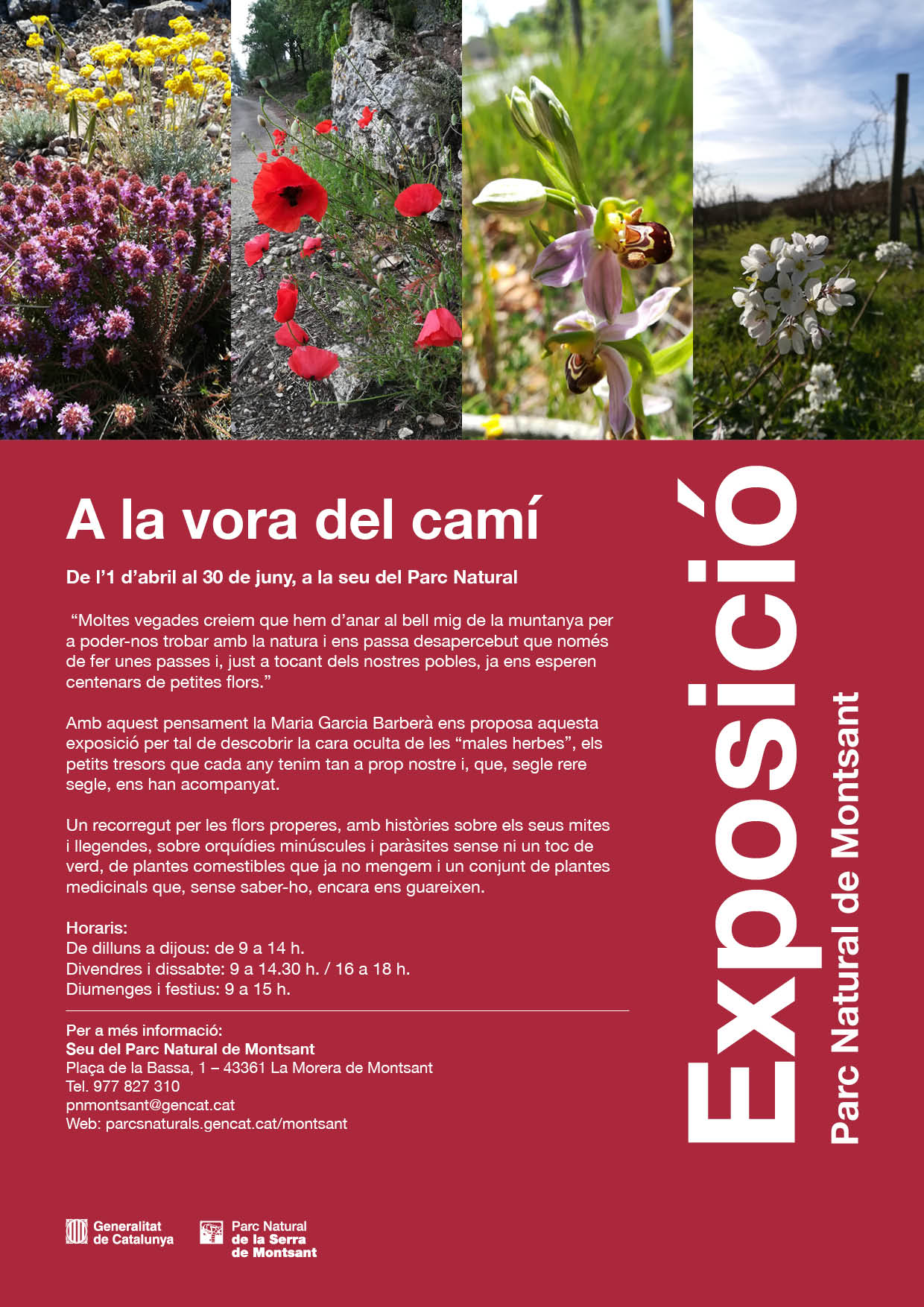 Exposició - A la vora del camí Exposició - A la vora del camí