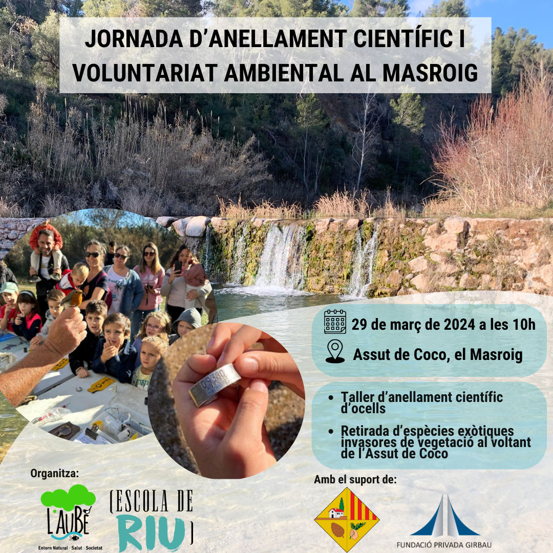 Jornada d’anellament científic i voluntariat ambiental al Masroig Jornada d’anellament científic i voluntariat ambiental al Masroig