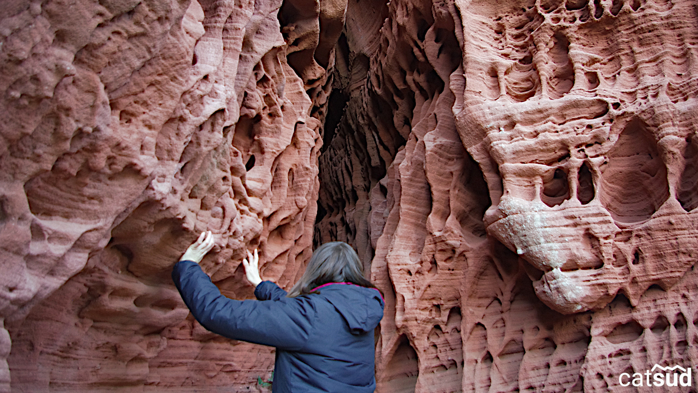 Natura, paisatge i geologia - Senderisme interpretatiu Natura, paisatge i geologia - Senderisme interpretatiu