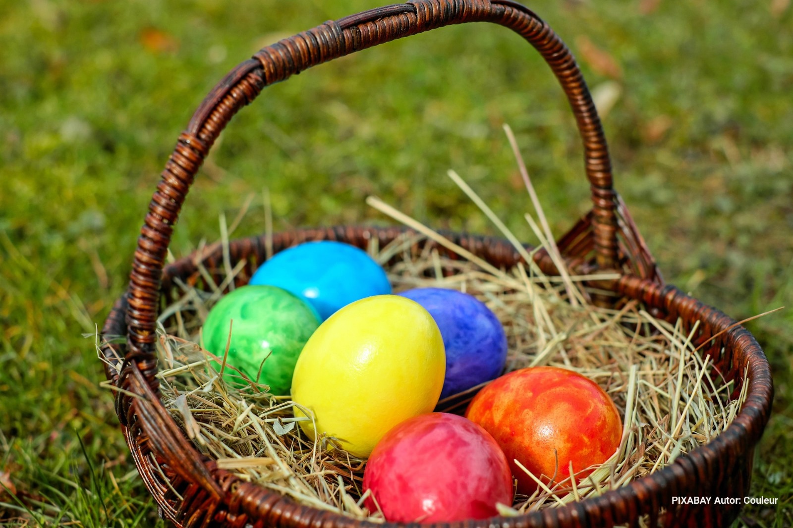 A la recerca dels ous de Pasqua - Dia de la mona entre natura i tradicions A la recerca dels ous de Pasqua - Dia de la mona entre natura i tradicions