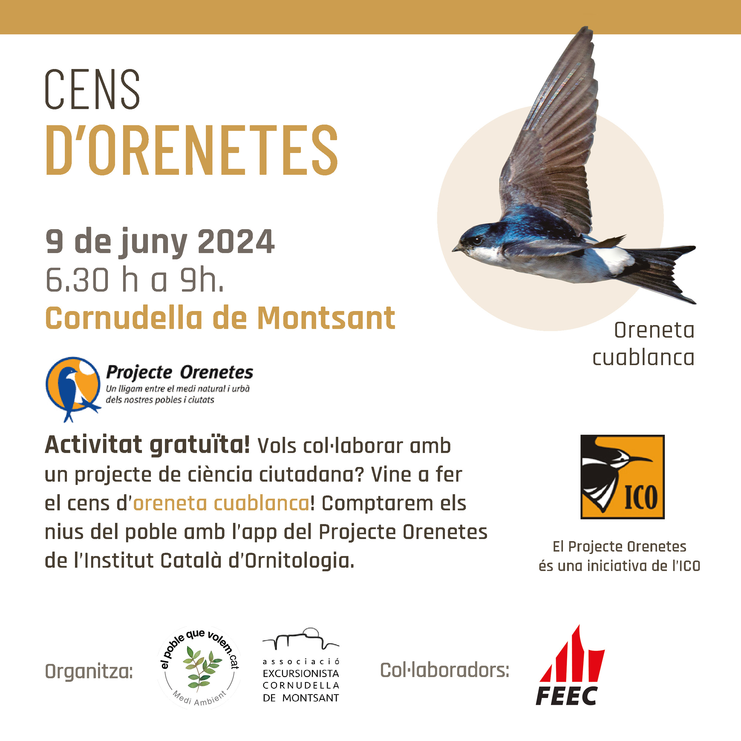 Cens d'orenetes Cens d'orenetes