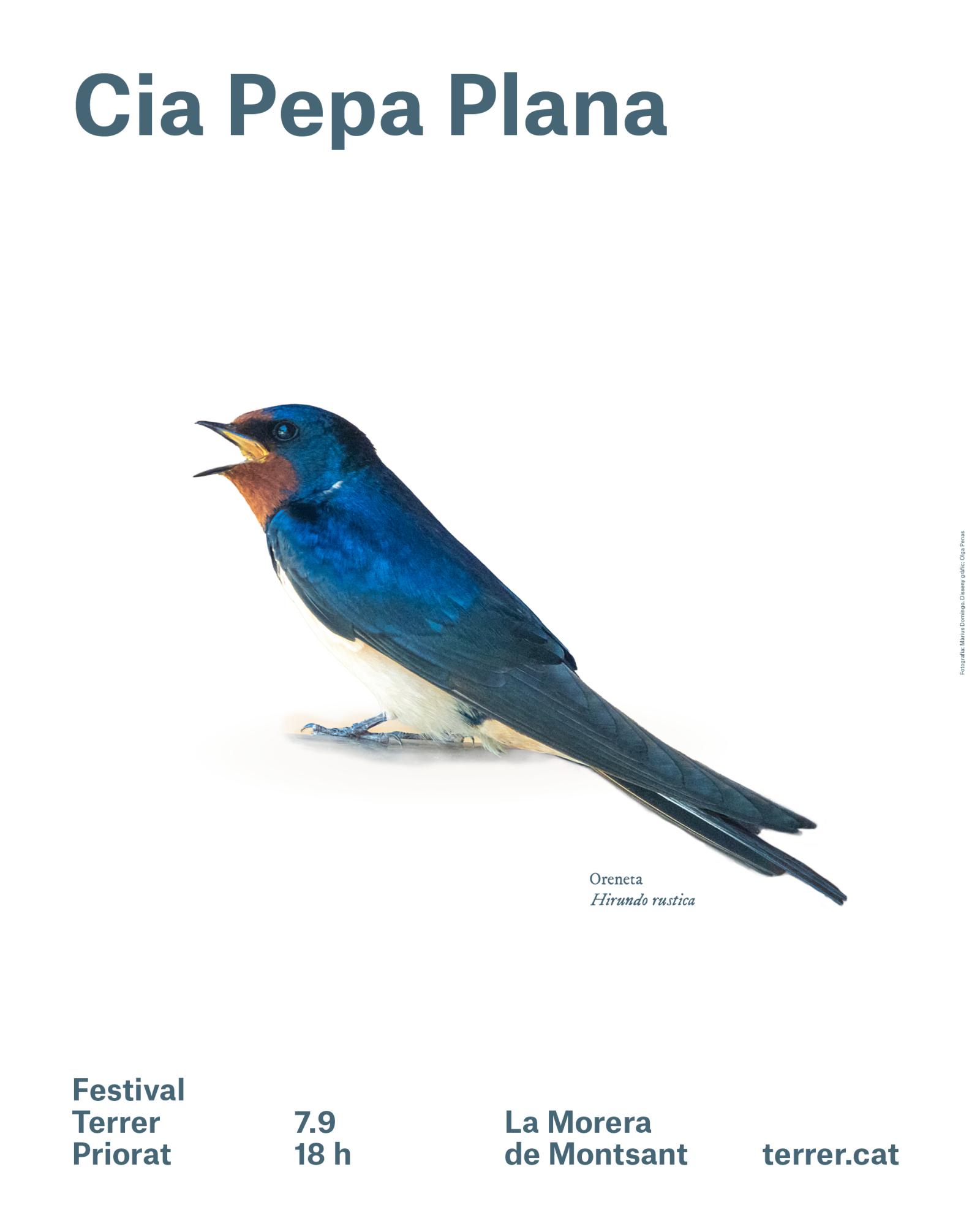 cartell pepa plana