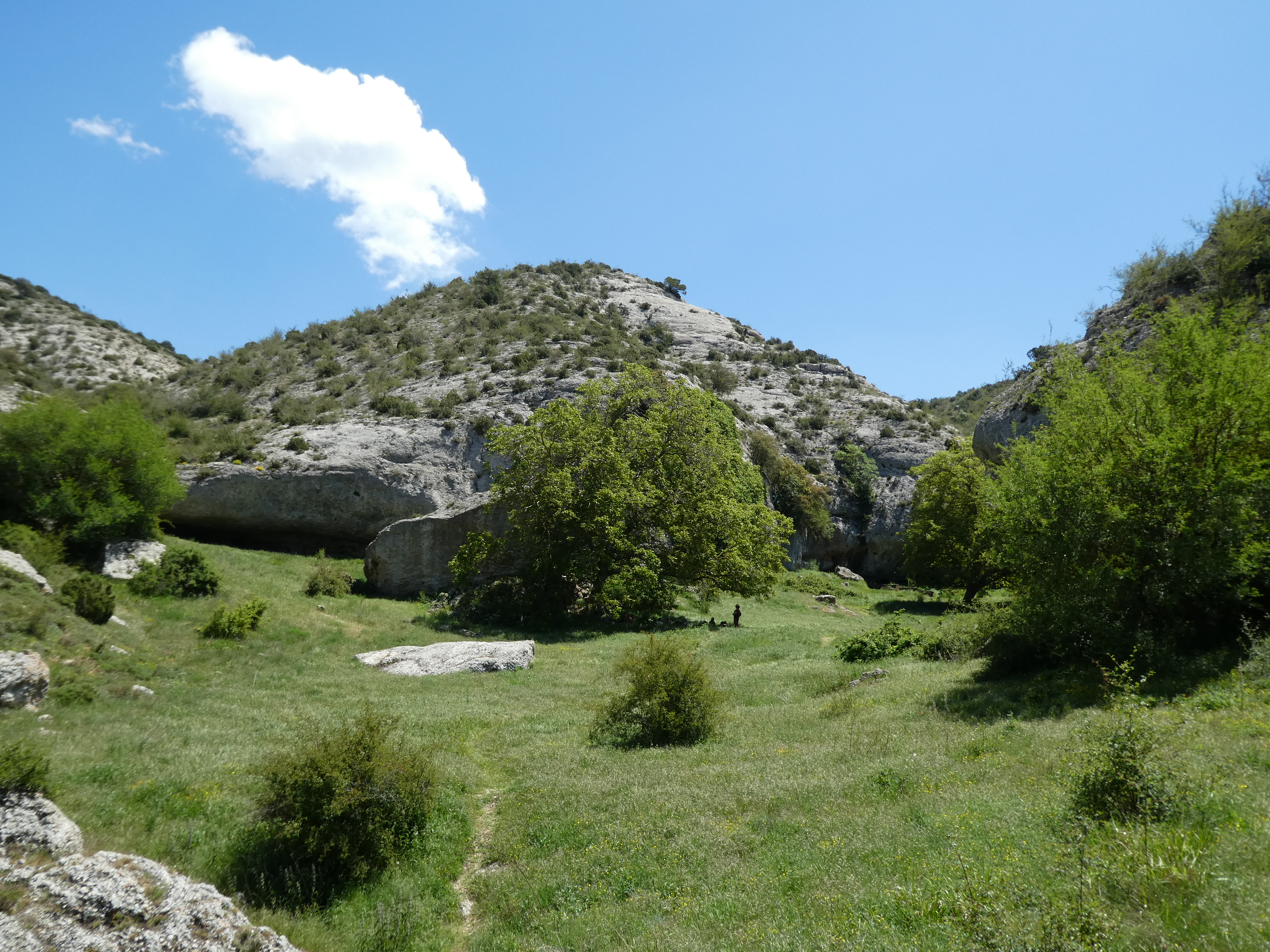 Un clàssic: el Clot del Cirer Un clàssic: el Clot del Cirer