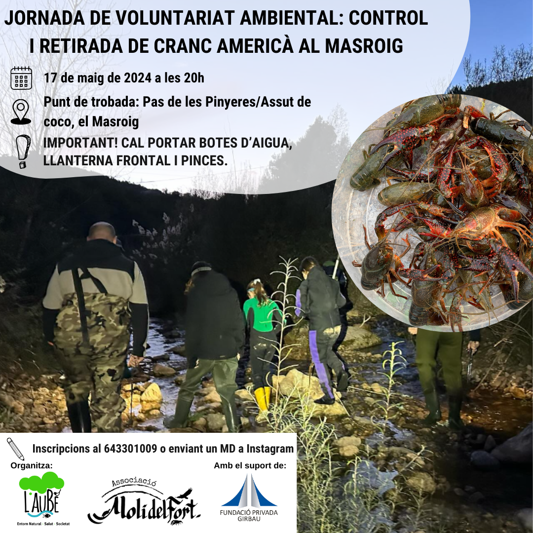 Jornada de voluntariat ambiental: Control i retirada de cranc americà al Masroig Jornada de voluntariat ambiental: Control i retirada de cranc americà al Masroig
