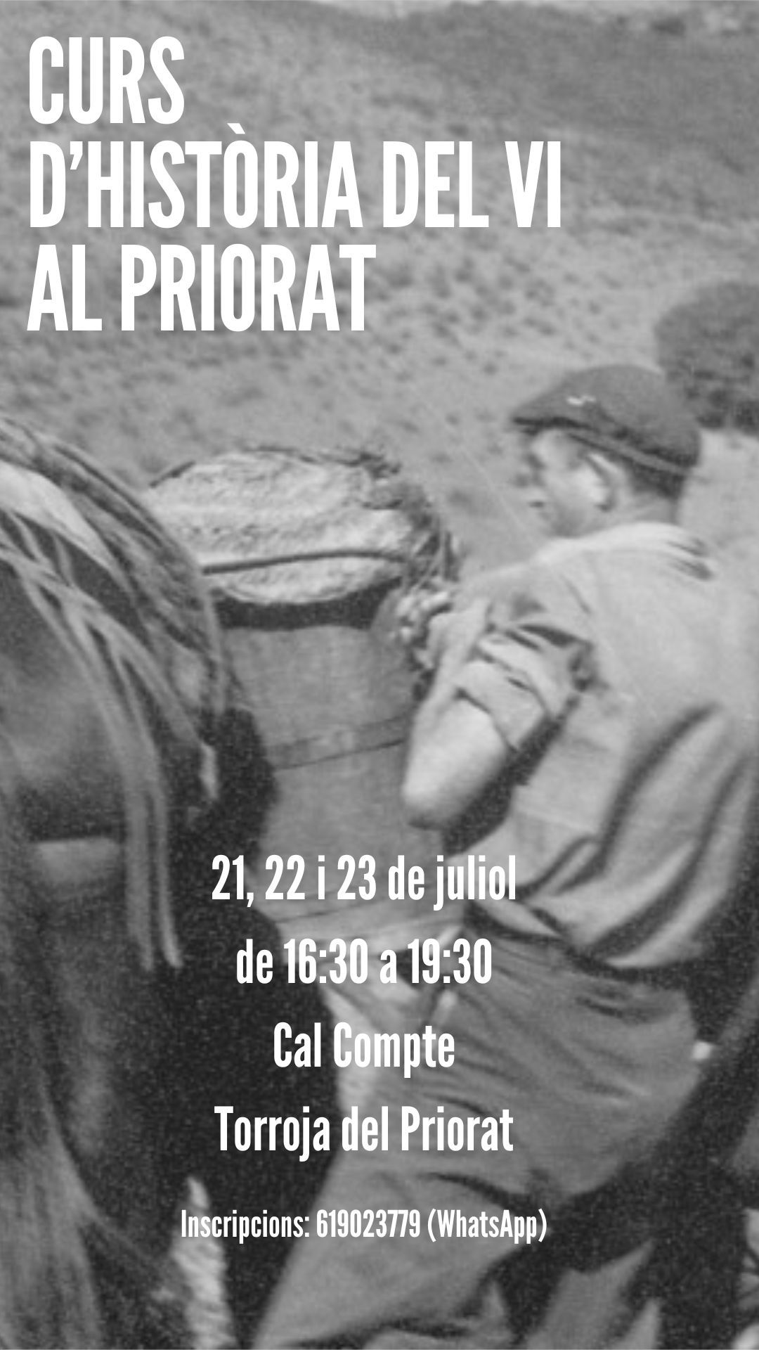 Curs d'història del vi al Priorat amb Anna Figueras Curs d'història del vi al Priorat amb Anna Figueras