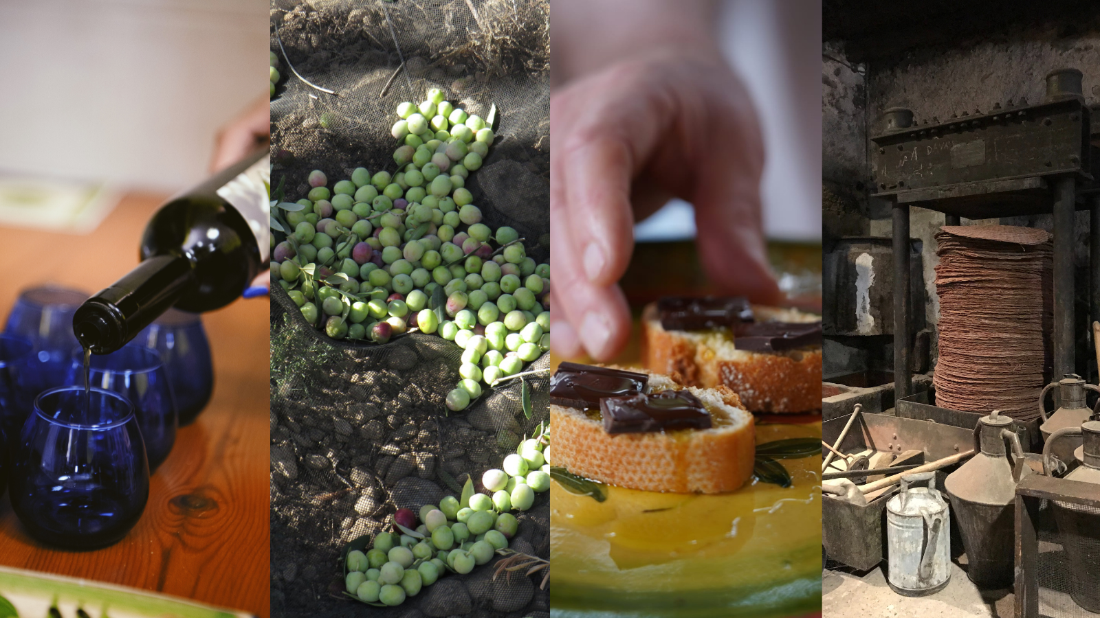 Visita dos molins + berenar de pa amb oli i xocolata! Vinícola del Priorat + Cooperativa Cabacés. 