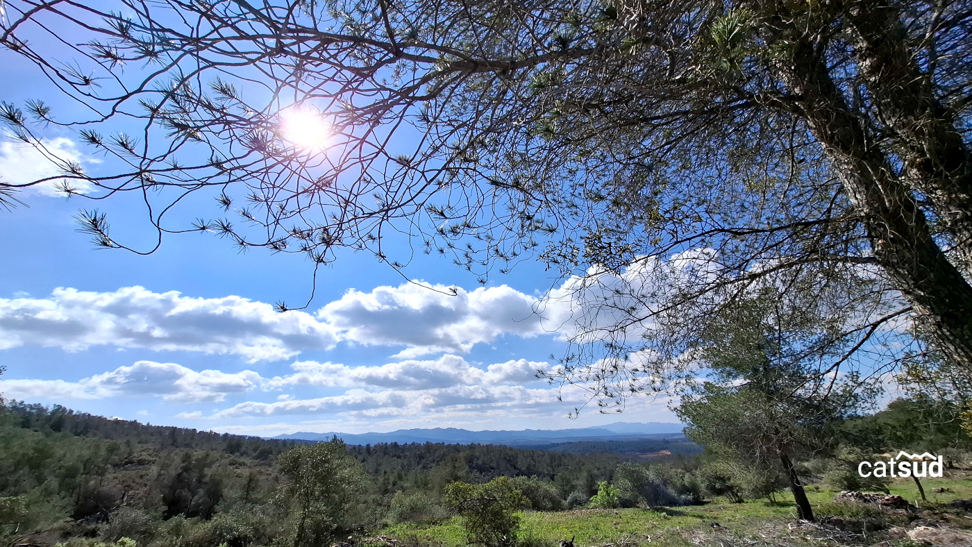 Caminant pel Priorat - Senderisme interpretatiu Caminant pel Priorat - Senderisme interpretatiu