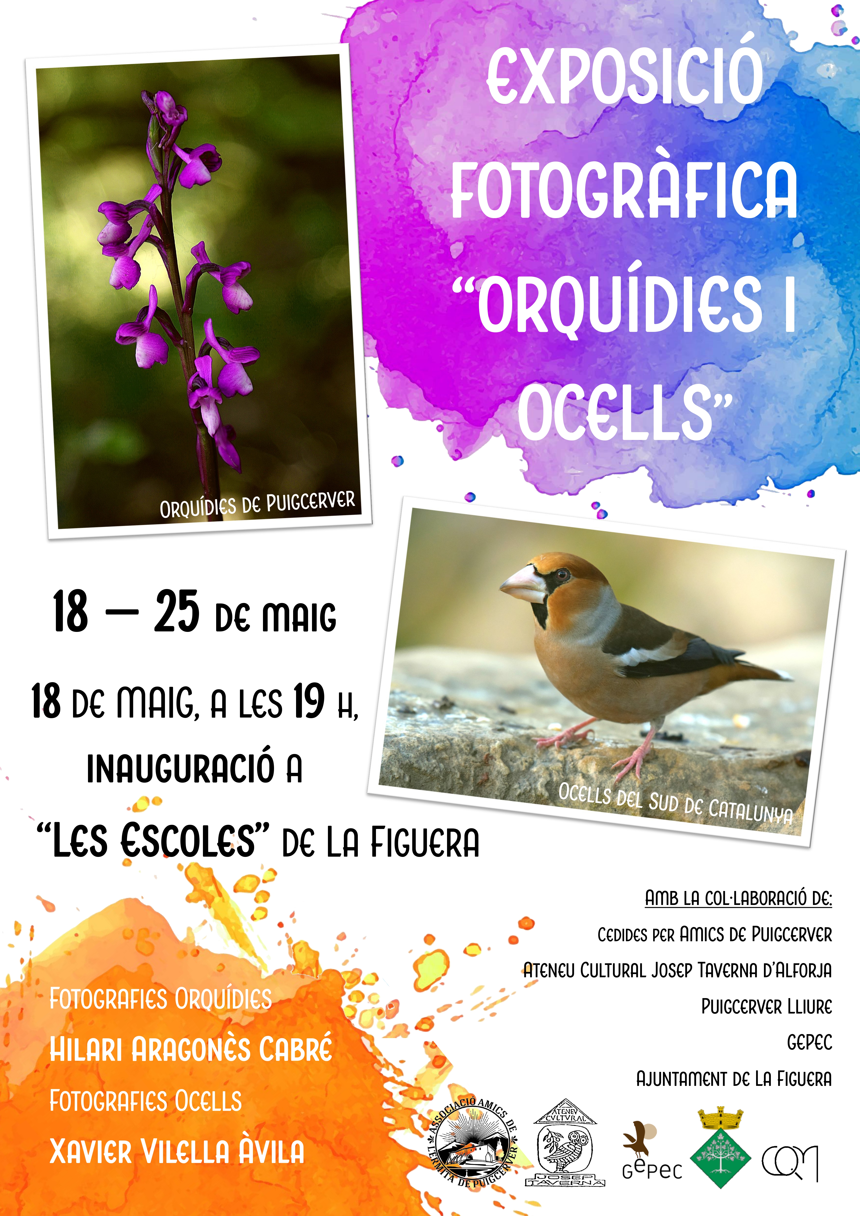 EXPOSICIÓ FOTOGRÀFICA “ORQUÍDIES I OCELLS”