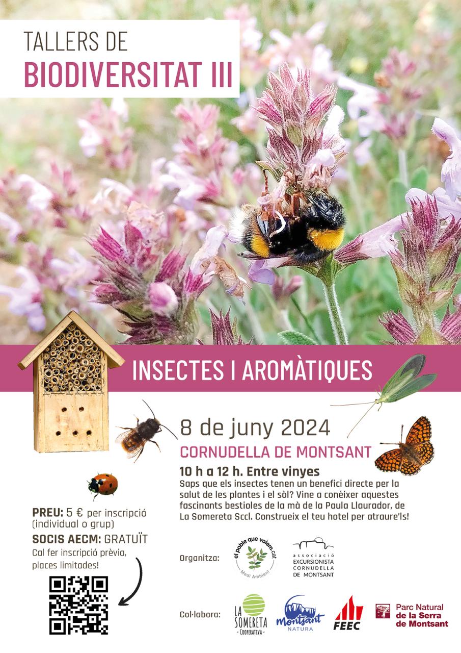 Taller d’insectes i plantes aromàtiques (Tallers de biodiversitat III)