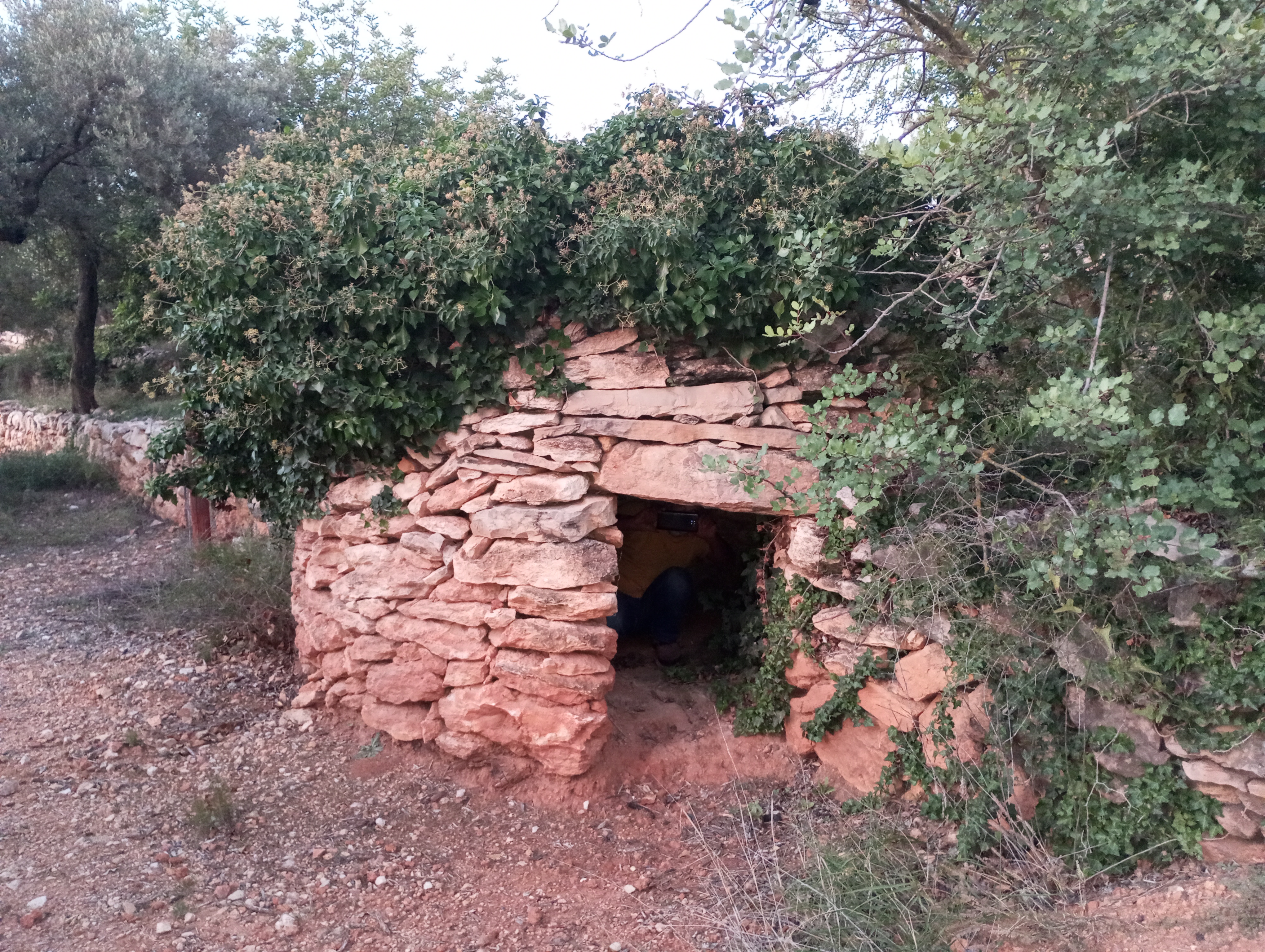 Ruta de la pedra seca Les Taules de Capçanes