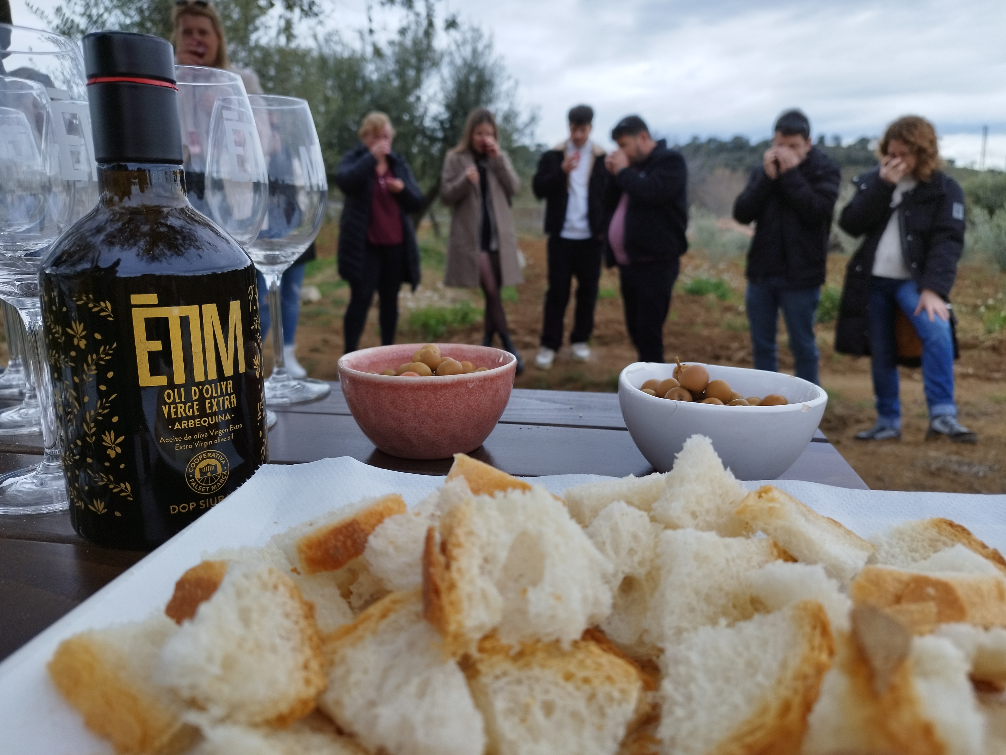 Visita a les vinyes amb tast Premium