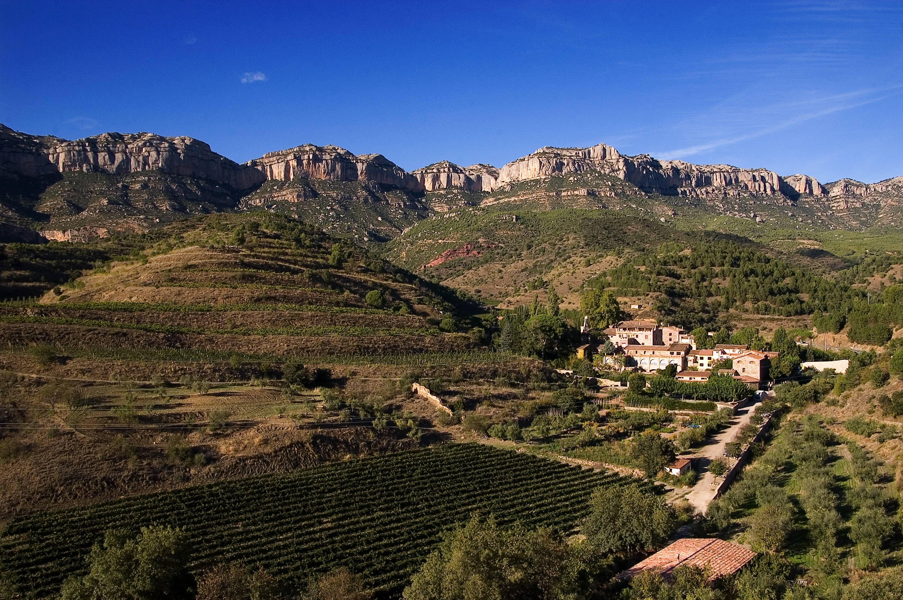 "Mindfulness al Priorat"