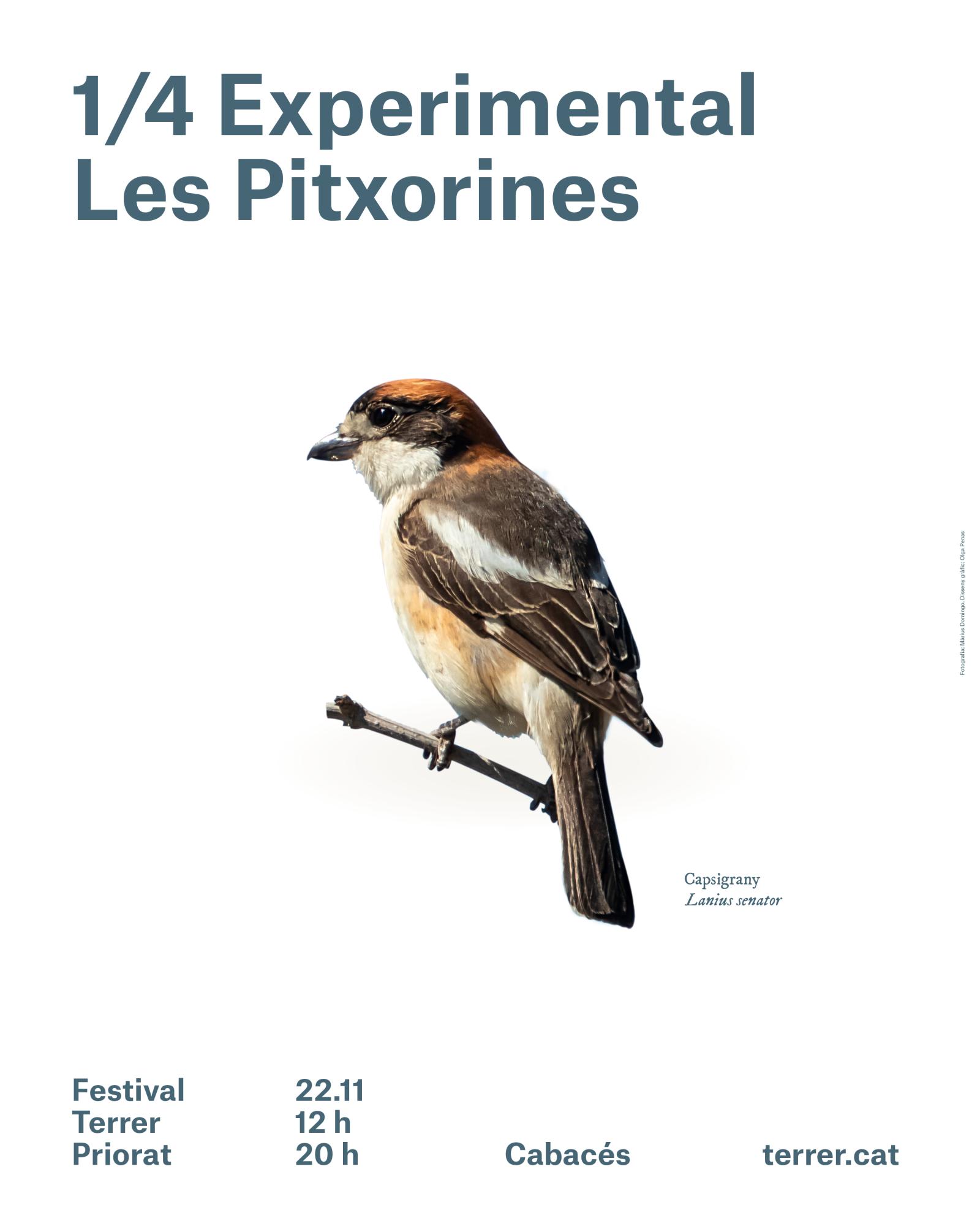 cartell les pitxorines