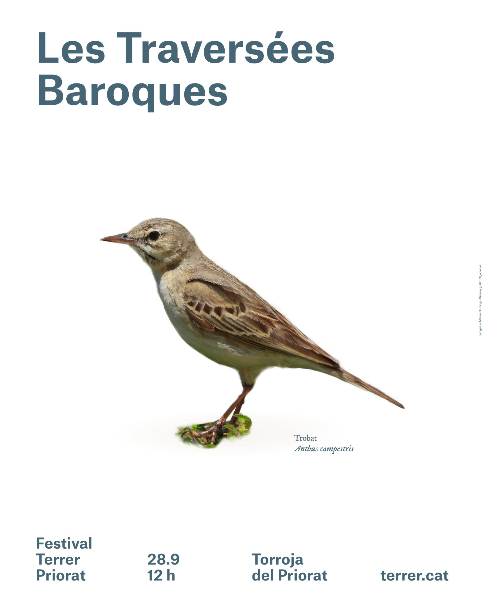 cartell les traversées baroques