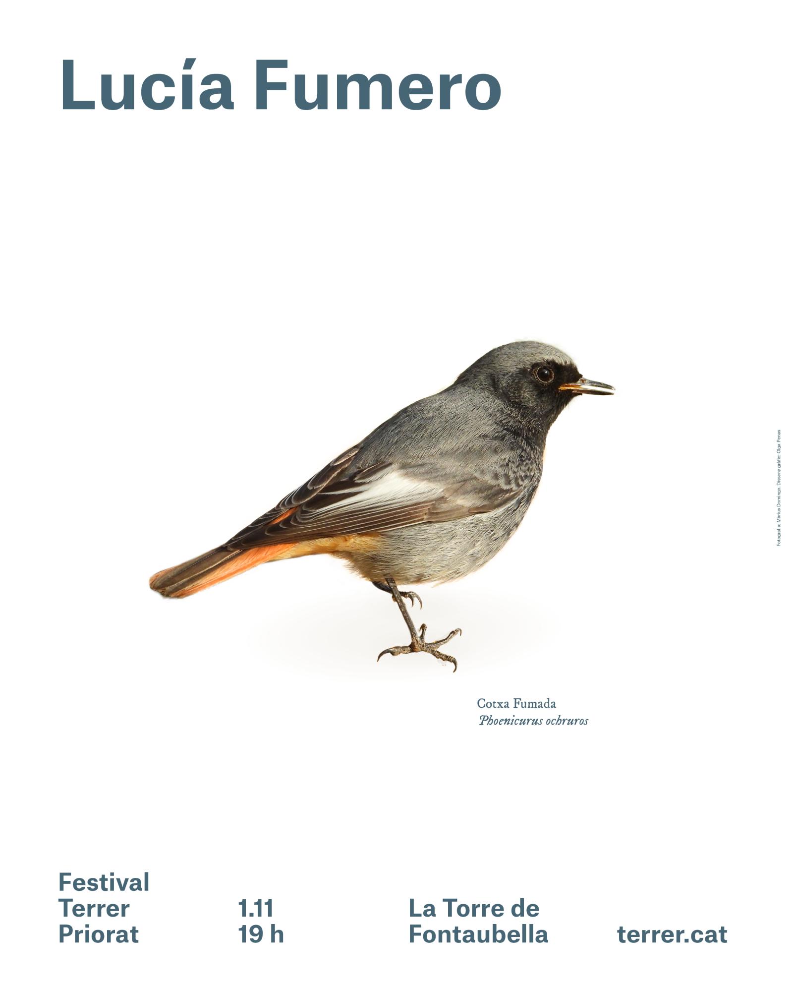 cartell fumero
