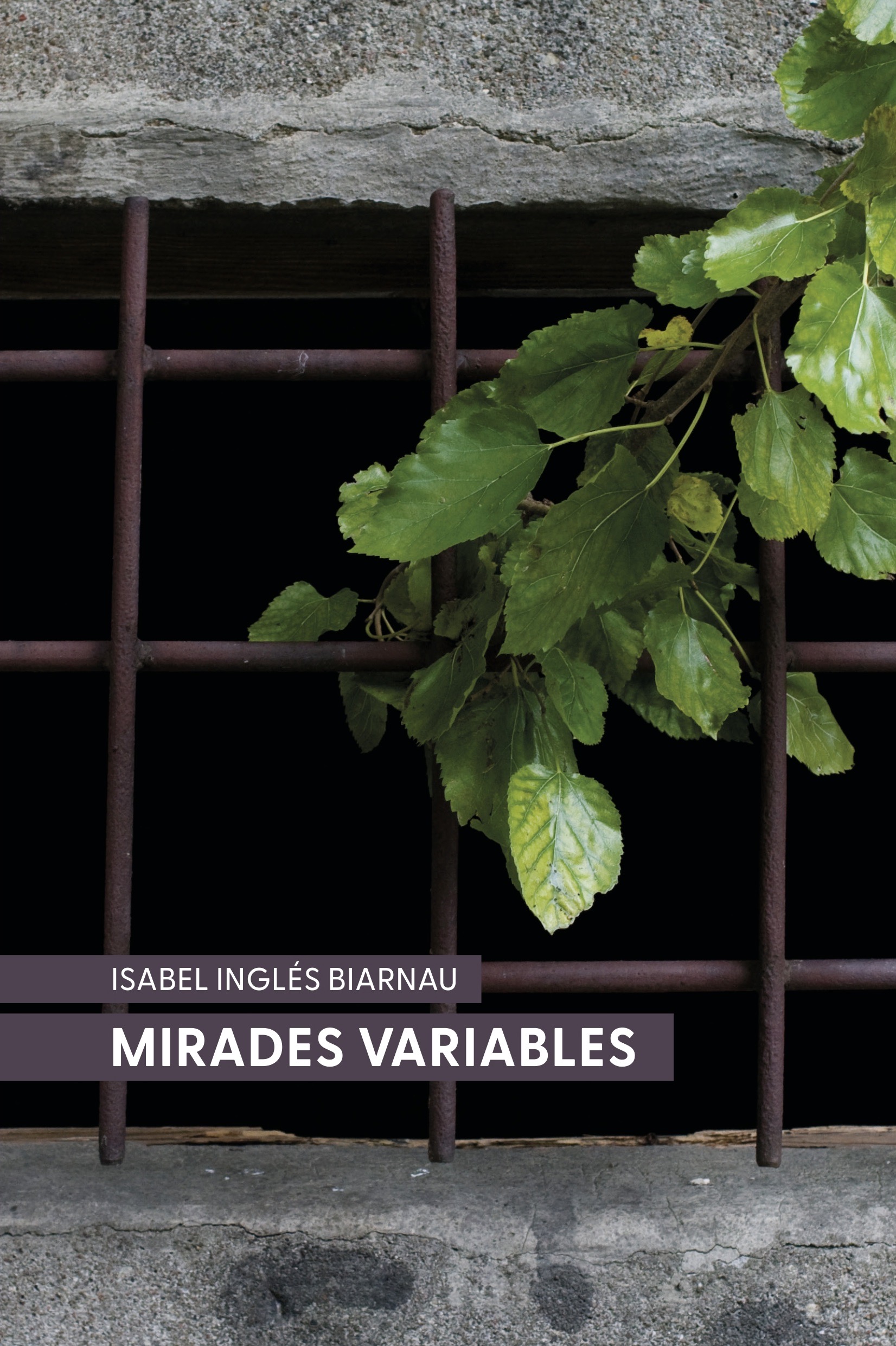 Presentació del llibre d'Isabel Inglès Mirades Variables